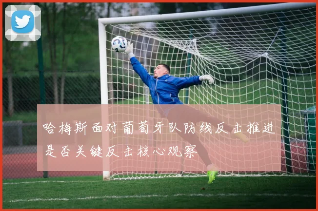 哈梅斯面对葡萄牙队防线反击推进是否关键反击核心观察