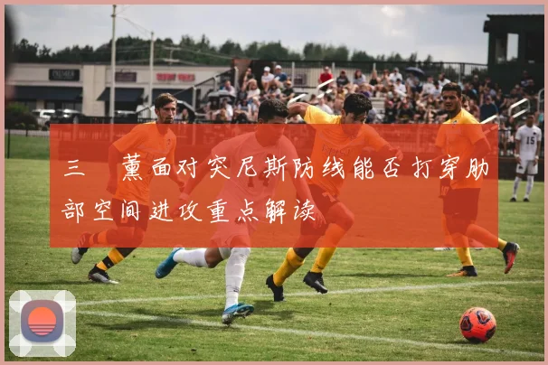 三笘薰面对突尼斯防线能否打穿肋部空间进攻重点解读