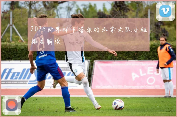 2026世界杯卡塔尔对加拿大队小组排名解读