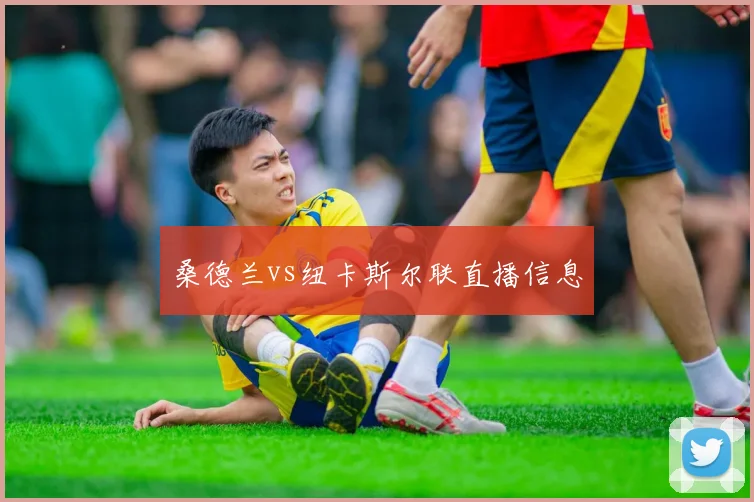 桑德兰vs纽卡斯尔联直播信息